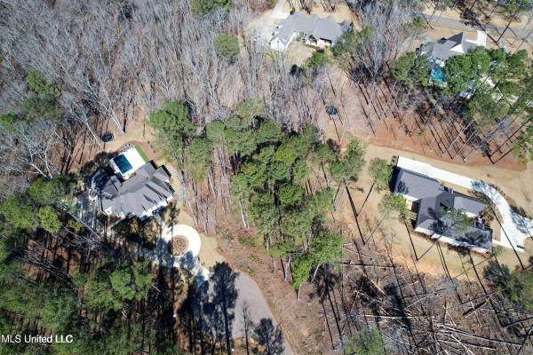 922 Brookhollow Court, Flowood, MS 39232