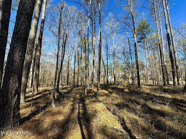 922 Brookhollow Court, Flowood, MS 39232