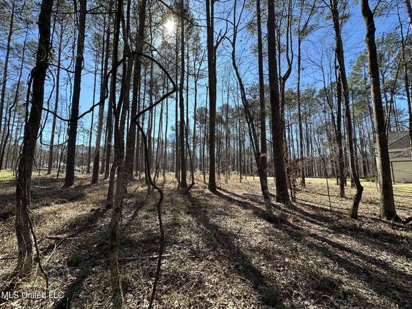 922 Brookhollow Court, Flowood, MS 39232