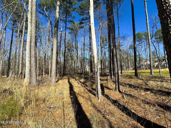 922 Brookhollow Court, Flowood, MS 39232