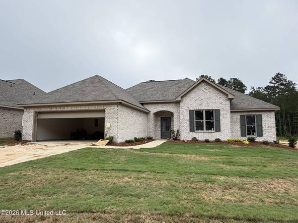 217 Anderson Oaks Drive, Pearl, MS 39208