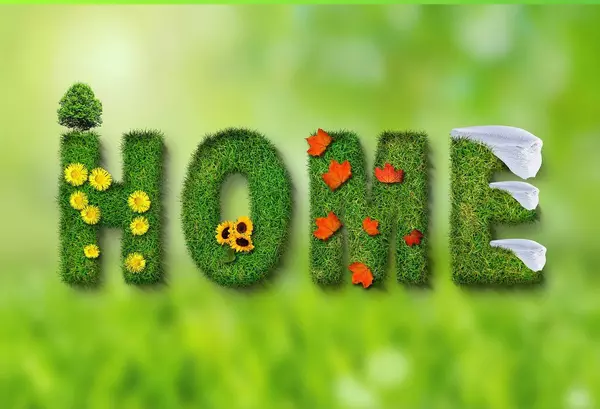 feature image of Spring Cleaning: Essential Tips to Refresh Your Home 🌿