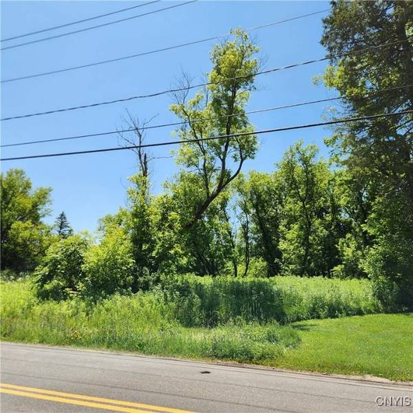 West ST, Newport, NY 13416