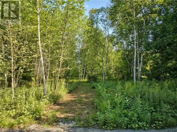 0 Highway 537 Highway, Wahnapitae, ON P0M3C0