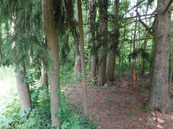 VL Blue Star Highway, Fennville, MI 49408