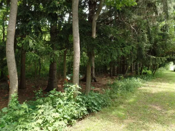 VL Blue Star Highway, Fennville, MI 49408