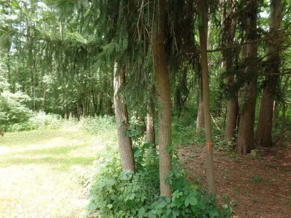 VL Blue Star Highway, Fennville, MI 49408