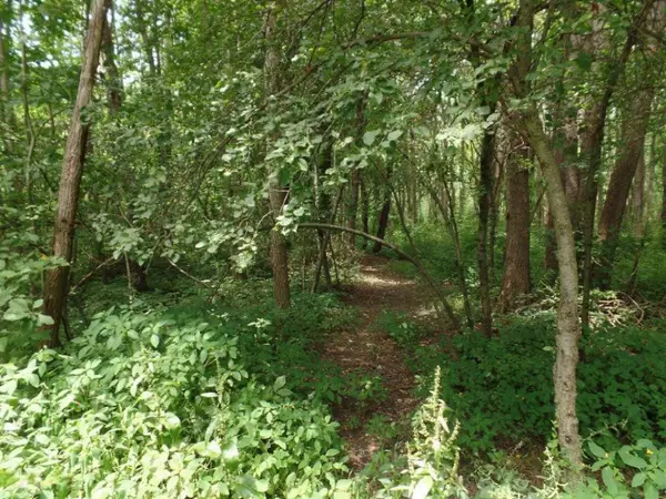 VL Blue Star Highway, Fennville, MI 49408