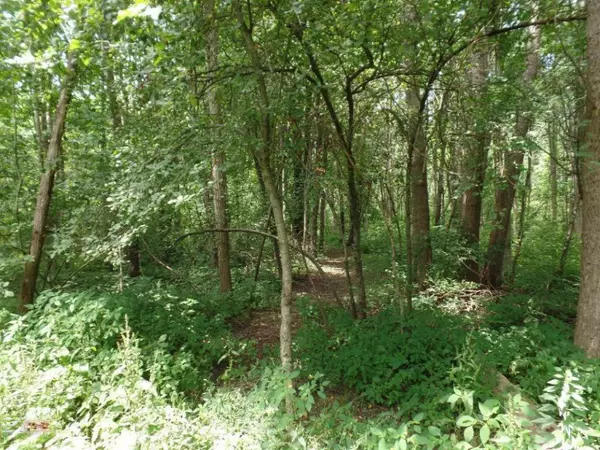 VL Blue Star Highway, Fennville, MI 49408