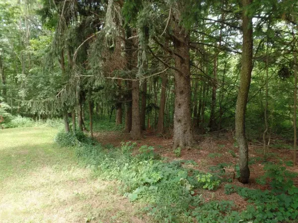 VL Blue Star Highway, Fennville, MI 49408