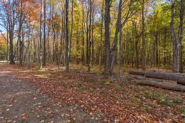Lot 3 Christopher Court, South Haven, MI 49090
