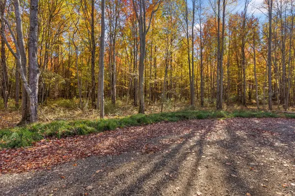 Lot 2 Christopher Court, South Haven, MI 49090