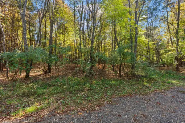 Lot 6 Christopher Court, South Haven, MI 49090