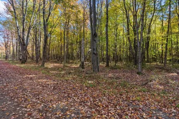 Lot 4 Christopher Court, South Haven, MI 49090