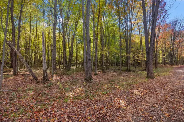 Lot 4 Christopher Court, South Haven, MI 49090