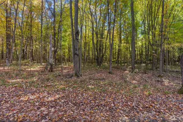 Lot 4 Christopher Court, South Haven, MI 49090