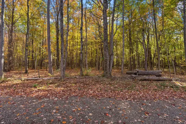 Lot 3 Christopher Court, South Haven, MI 49090