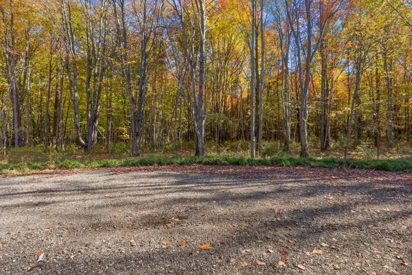 Lot 2 Christopher Court, South Haven, MI 49090