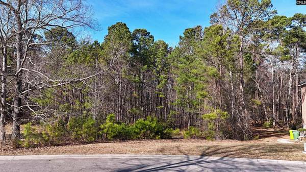 104 Fallen Leaf Drive #43, Columbia, SC 29229