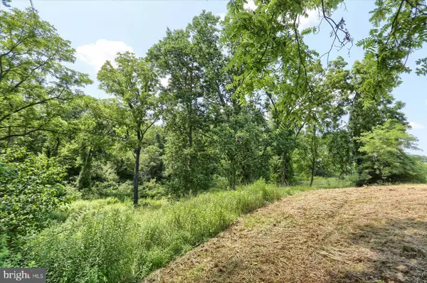 15 BLACKSNAKE RD, Duncannon, PA 17020