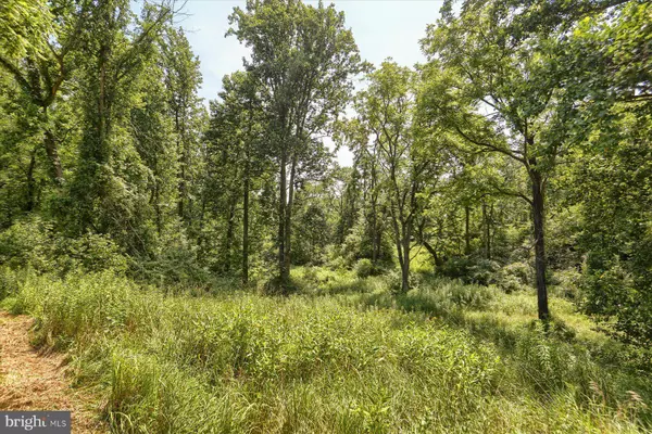 15 BLACKSNAKE RD, Duncannon, PA 17020