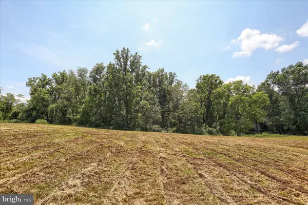 15 BLACKSNAKE RD, Duncannon, PA 17020