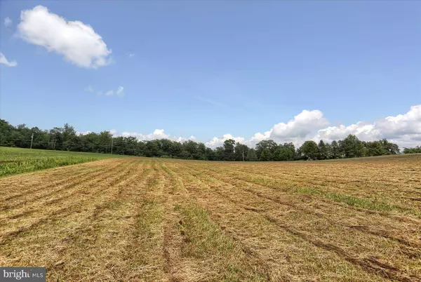 15 BLACKSNAKE RD, Duncannon, PA 17020