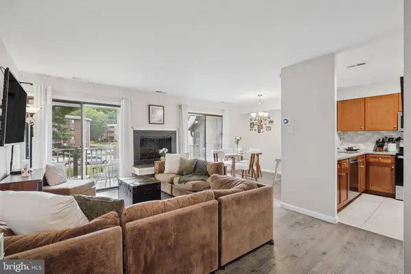 3889 EL CAMINO PL #19, Alexandria, VA 22309