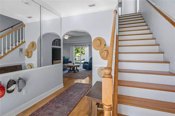 1113 S PINE LAKE DR, Tampa, FL 33612