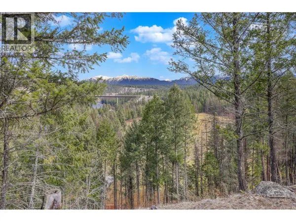 132 PLATEAU Place, Cranbrook, BC V1C0C6