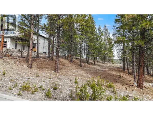 132 PLATEAU Place, Cranbrook, BC V1C0C6