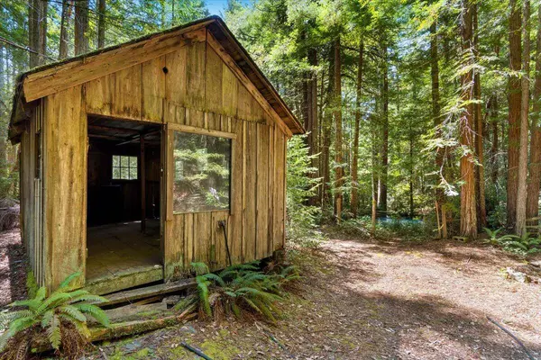 5684 Cummings Creek RD, Carlotta, CA 95528