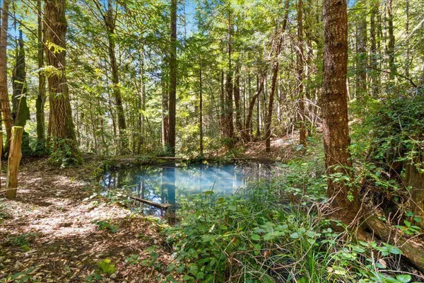 5684 Cummings Creek RD, Carlotta, CA 95528