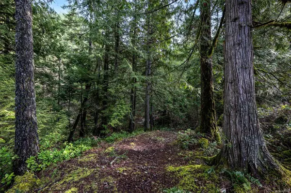 Lot 3 Whittaker Rd, Malahat, BC V0R 2L0