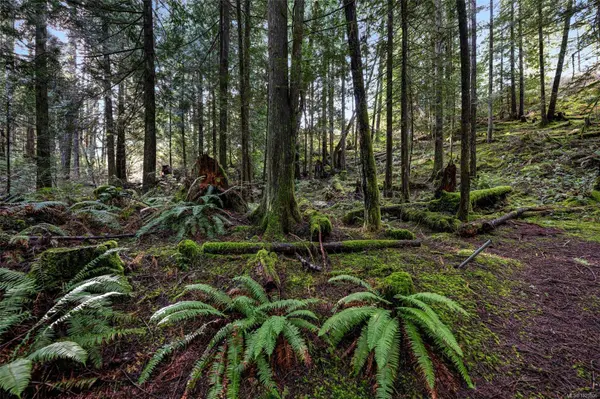 Lot 3 Whittaker Rd, Malahat, BC V0R 2L0