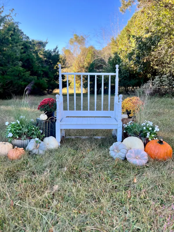 Fall Festivals in the North Atlanta Suburbs: A Local Guide