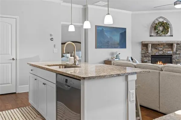 6647 Rivergreen RD, Flowery Branch, GA 30542