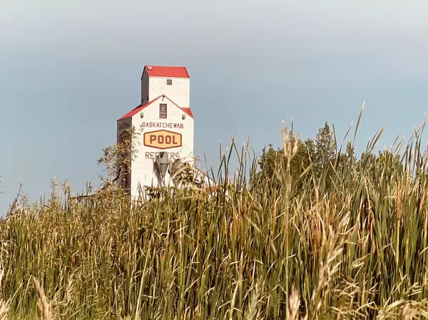 feature image of Why More Canadian Buyers Are Choosing Small Towns Over the City in 2025