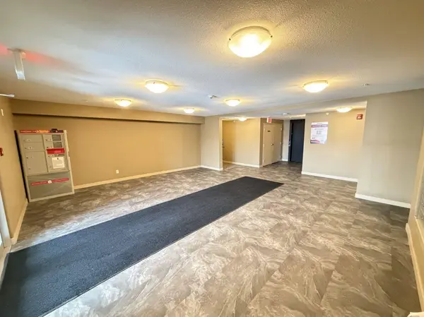 15 Saddlestone WAY NE #316, Calgary, AB T3J0S3