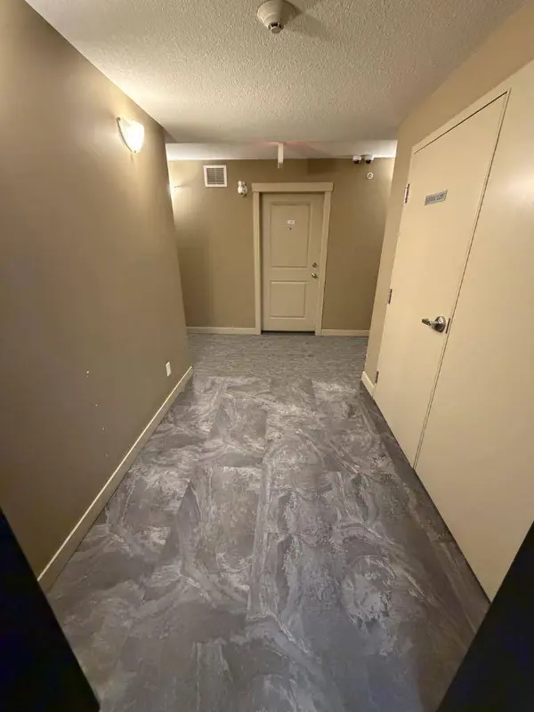 15 Saddlestone WAY NE #316, Calgary, AB T3J0S3