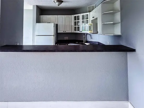 3315 58TH AVE S #409, St Petersburg, FL 33712