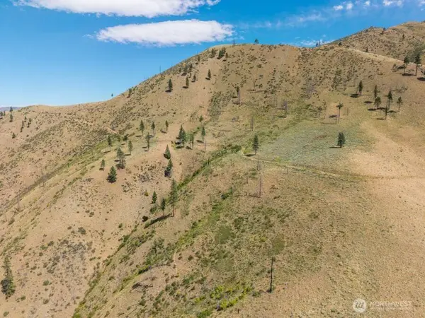 1 Lot Mills Canyon RD, Entiat, WA 98822