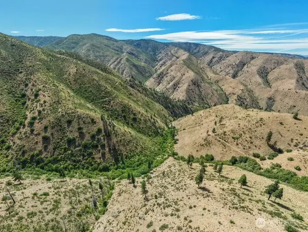 4 Lot Mills Canyon RD, Entiat, WA 98822