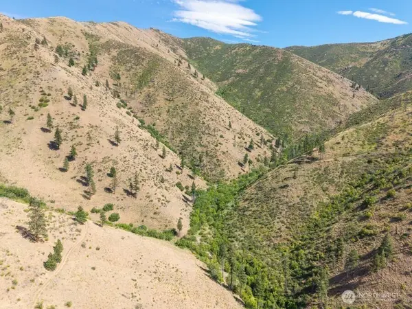 4 Lot Mills Canyon RD, Entiat, WA 98822