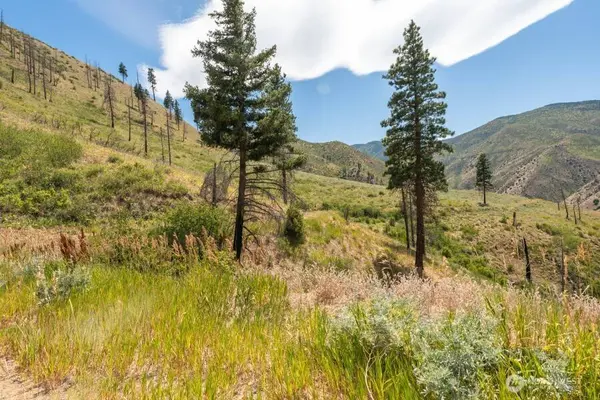 5 Lot Mills Canyon RD, Entiat, WA 98822