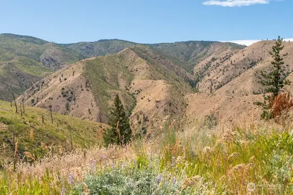 5 Lot Mills Canyon RD, Entiat, WA 98822