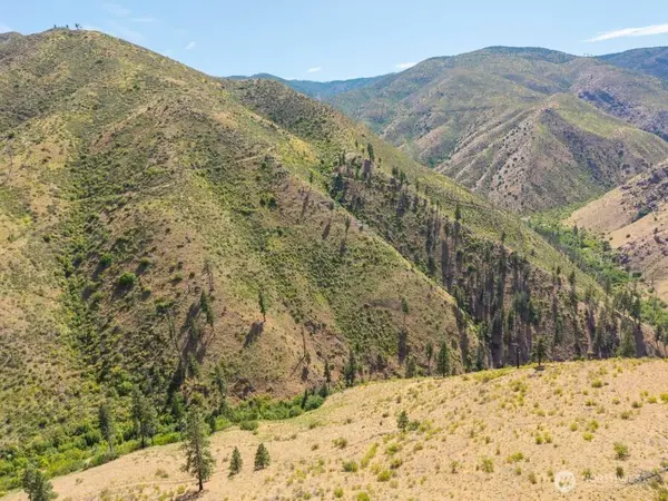 4 Lot Mills Canyon RD, Entiat, WA 98822