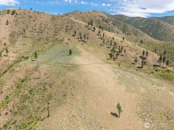 1 Lot Mills Canyon RD, Entiat, WA 98822