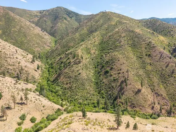 4 Lot Mills Canyon RD, Entiat, WA 98822