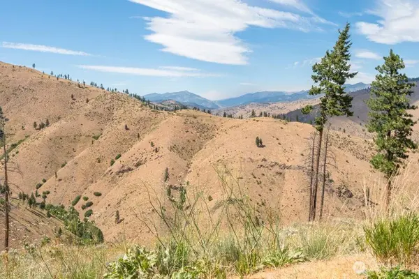 5 Lot Mills Canyon RD, Entiat, WA 98822